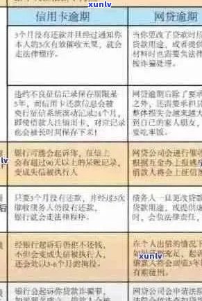 XXXX年信用卡逾期减免政策全解析：如何应对逾期、减免利息及逾期后果