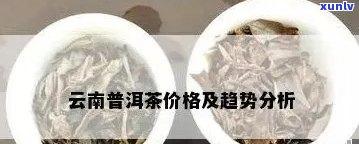 去云南买普洱茶贵吗现在？ 云南普洱茶价格及购买方式解析