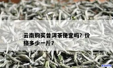 去云南买普洱茶贵吗现在？ 云南普洱茶价格及购买方式解析