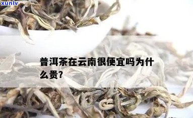 去云南买普洱茶贵吗