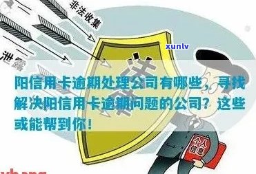 专治信用卡逾期的公司叫什么：解决信用卡逾期问题的专业机构名称