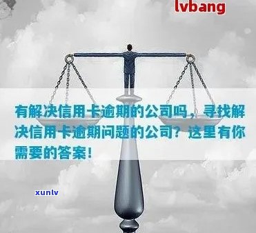 专治信用卡逾期的公司叫什么：解决信用卡逾期问题的专业机构名称