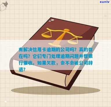 专治信用卡逾期的公司叫什么：解决信用卡逾期问题的专业机构名称