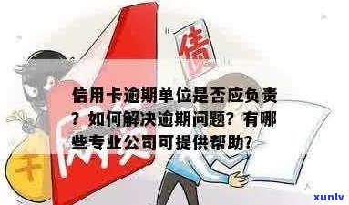 专治信用卡逾期的公司叫什么：解决信用卡逾期问题的专业机构名称