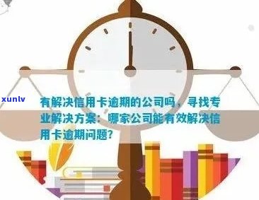 信用卡逾期问题全面解决：寻找专业公司帮助您处理逾期账单和信用修复