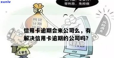 专治信用卡逾期的公司