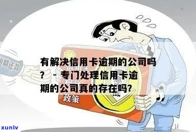 专治信用卡逾期的公司