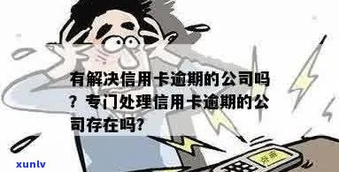 专治信用卡逾期的公司