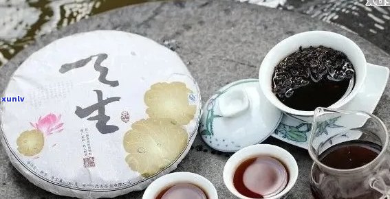 普洱茶饼生茶泡法：品鉴极致醇香，回味悠长