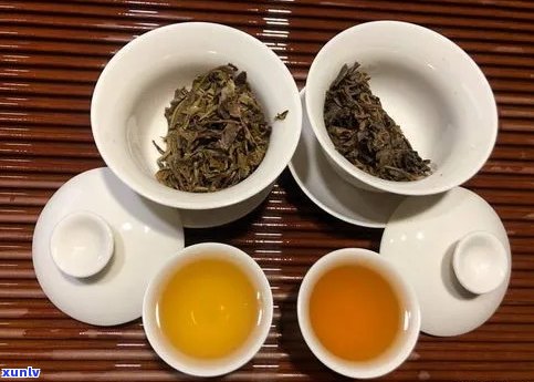 普洱茶饼生茶泡法：品鉴极致醇香，回味悠长