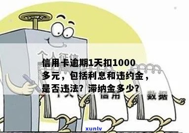 信用卡逾期1000元，一天滞纳金计算方式及影响详解