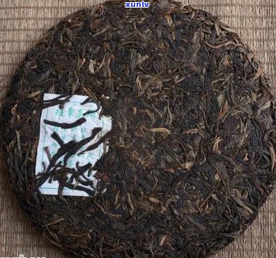 What is the Price of This Pu'er Tea? - 询问这种普洱茶的价格