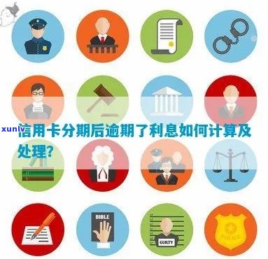 信用卡分期付款逾期利率计算与解决方案全面解析