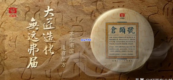 大益：之源，茶文化的灵魂——探寻名字背后的深厚文化底蕴