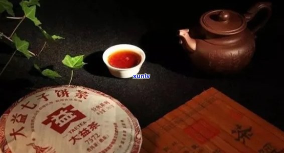 大益：之源，茶文化的灵魂——探寻名字背后的深厚文化底蕴