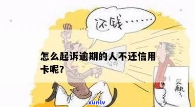 怎样投诉人人信用卡逾期