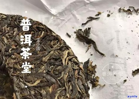 新 普洱茶中的金色物质：揭秘其独特的健益处与风味特征