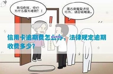 肃信用卡逾期怎么收费