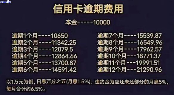 肃信用卡逾期怎么收费