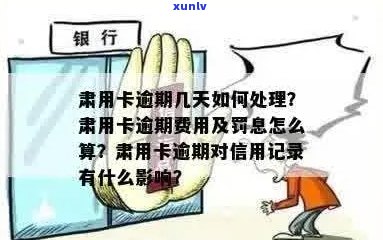 肃信用卡逾期怎么收费