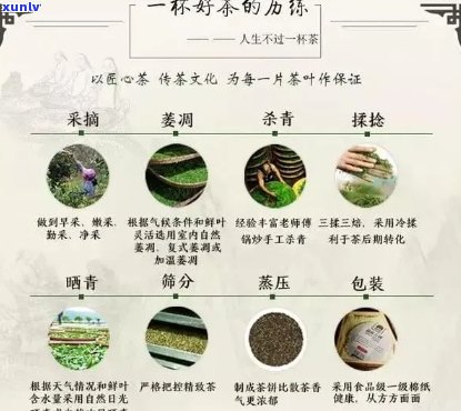 陈香普洱茶饼全方位解析：价格、品质、选购与品鉴，一次解决您的所有疑问