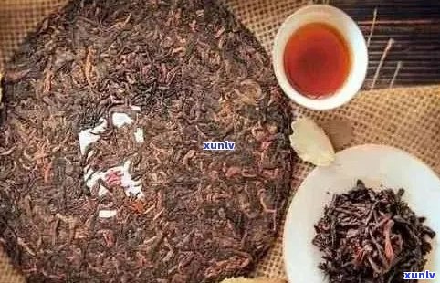 新 '陈年普洱茶饼价格，品鉴与选购指南'