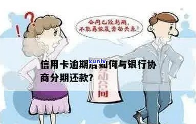 信用卡逾期后如何与银行协商分期还款：全面指南及实用建议