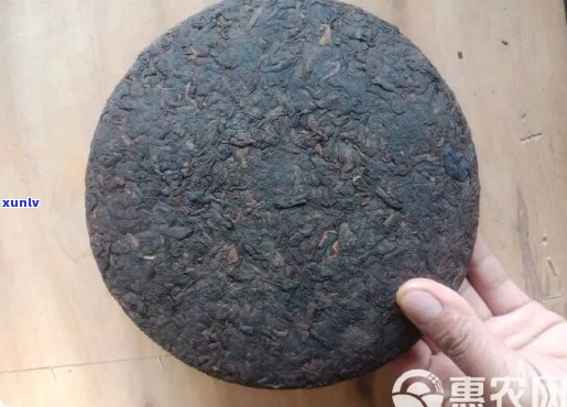 什么是陈香普洱茶饼