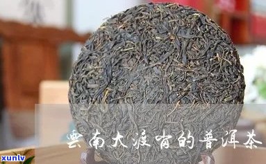 大渡岗普洱茶怎么样：云南大渡岗普洱茶发展股份的好喝与否？