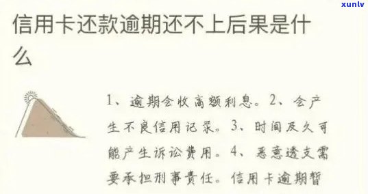 遂溪县信用卡逾期名单：详细信息、还款指南及应对策略