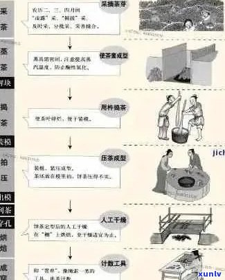 '普洱茶工艺 *** 过程揭秘：能喝的工艺普洱茶全解析'