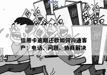 深圳翡翠购买指南：正品选购、价格比较与推荐店铺