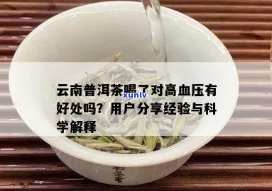 普洱茶降血压的全面解答：科学研究、饮用建议和功效分析