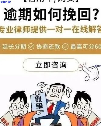 信用卡逾期分期还款全攻略：详细教程 解决常见问题