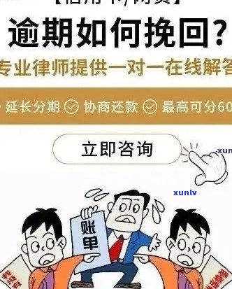 信用卡逾期分期还款全攻略：详细教程 解决常见问题