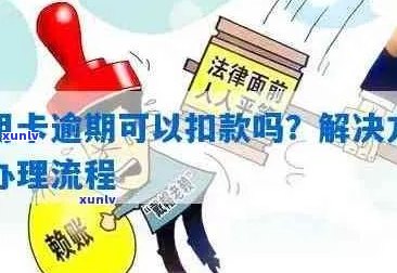 信用卡逾期问题全攻略：如何处理、后果及解决方案，支行办理步骤详解