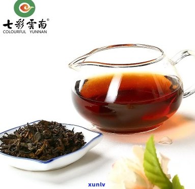 昆明七彩云南普洱茶官网旗舰店，昆明七彩云南茶叶