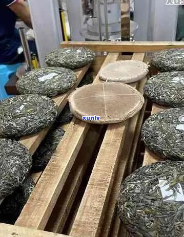 普洱茶的手工加工技术：全面解析与 ***  *** ，解答用户关于普洱茶 *** 的疑问