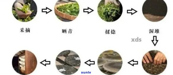 普洱茶 *** 全程解析：工艺、设备与品质保障