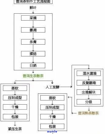 普洱茶加工工艺流程及核心技术要点