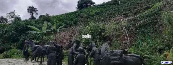 探索普洱茶马古道景区：文化、历与自然风光的综合体验