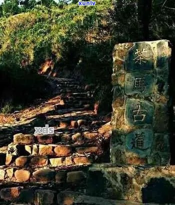 探索普洱茶马古道景区：文化、历与自然风光的综合体验