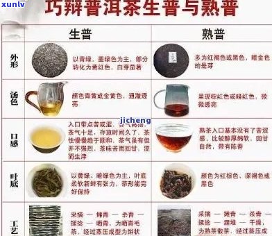 信鸽喝普洱茶的好处与坏处：一项全面的探讨