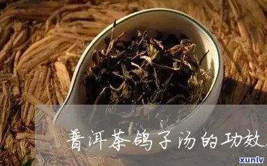 信鸽喝普洱茶好不好