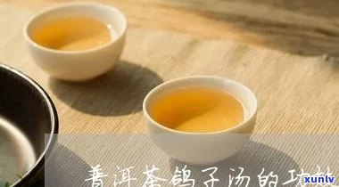 信鸽喝普洱茶好不好