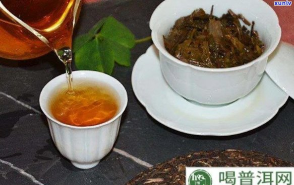 信鸽喝普洱茶好不好