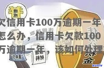 信用卡逾期100万：原因、后果与解决方案全面解析