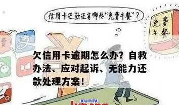 欠信用卡一百万无力偿还的后果及处理 *** 