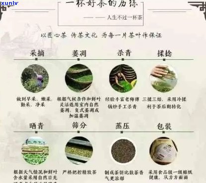 香君普洱茶膏官方网站：探索产品详细信息、购买途径以及品饮技巧的全面指南