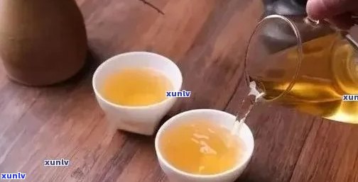 全方位指南：如何用保杯泡出美味的普洱茶？